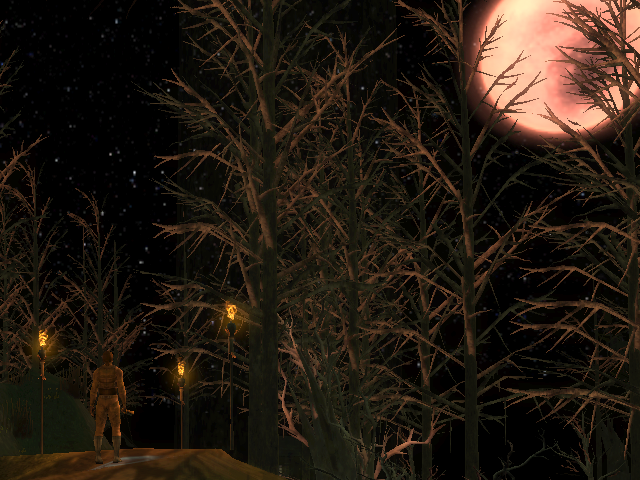 Outside of Fenkenstrain's Castle in Molior RS